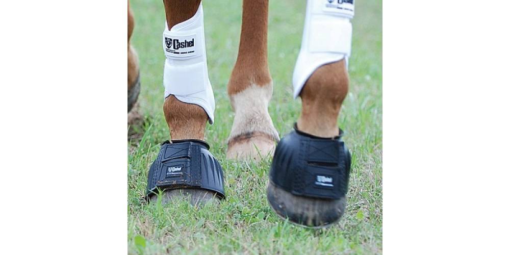 CASHEL Rubber Bell Boots | HorseLoverZ