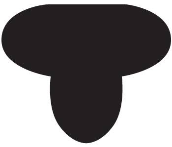 Cashel Race Exercise Shaped Cushion Pad