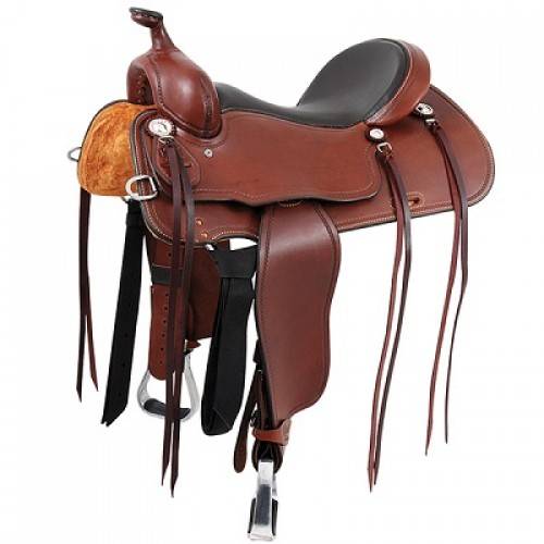 Western Pleasure Horse And Equestrian Products