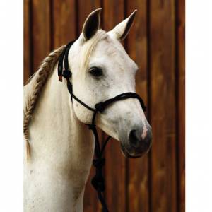 Classic Equine Work Halter with Lead
