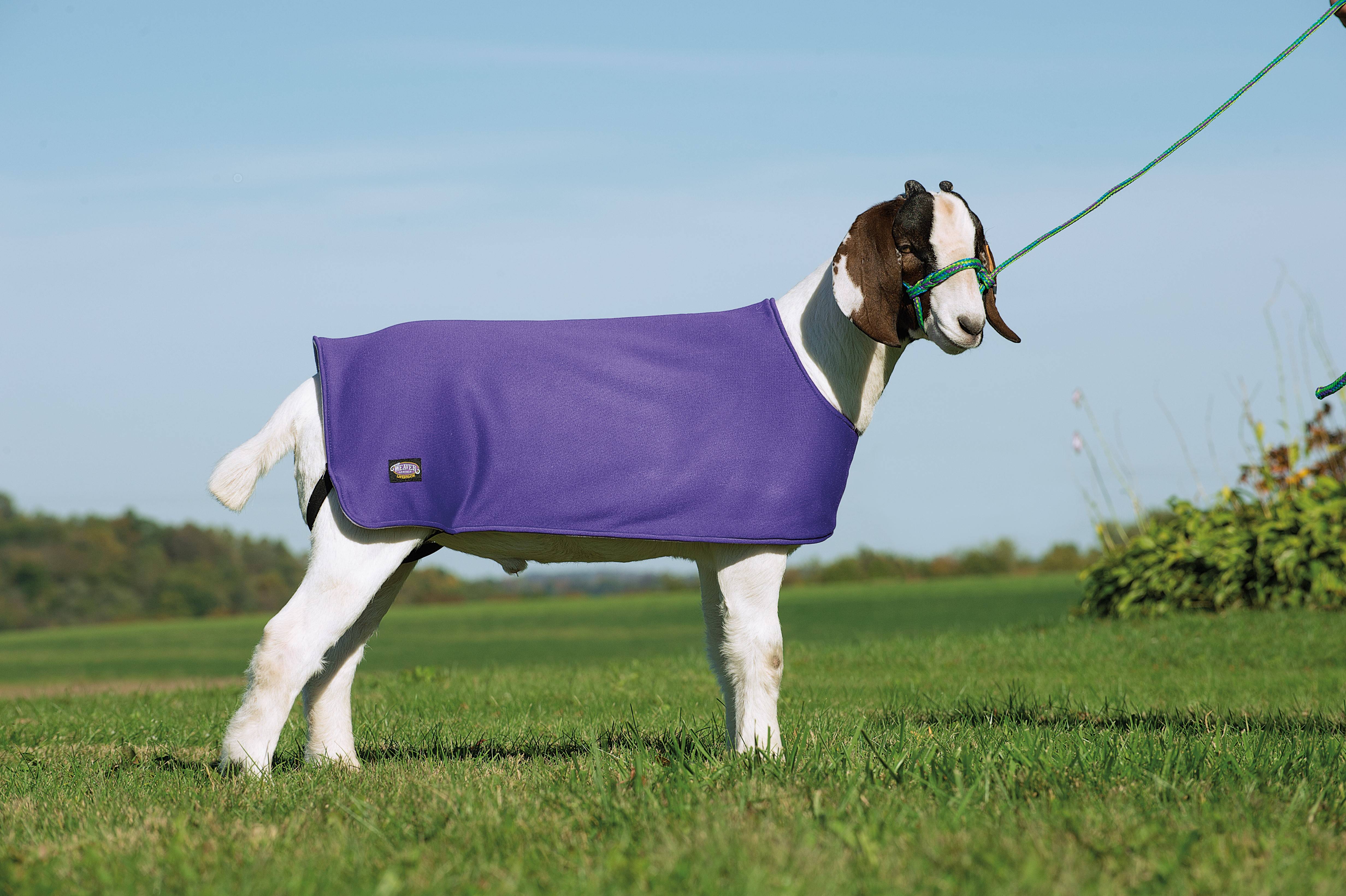 Weaver Sheep Underblanket