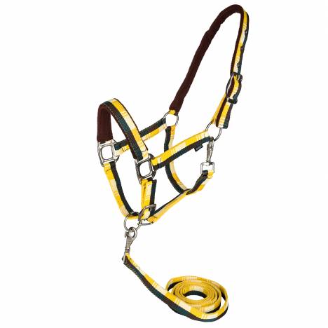 MEMORIAL DAY BOGO: Gatsby Terra Fleece Padded Nylon Halter with Matching Lead - YOUR PRICE FOR 2