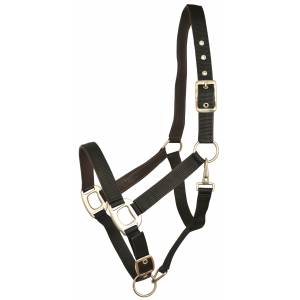 MEMORIAL DAY BOGO: Gatsby Leather Padded Adjustable Nylon Halter - YOUR PRICE FOR 2