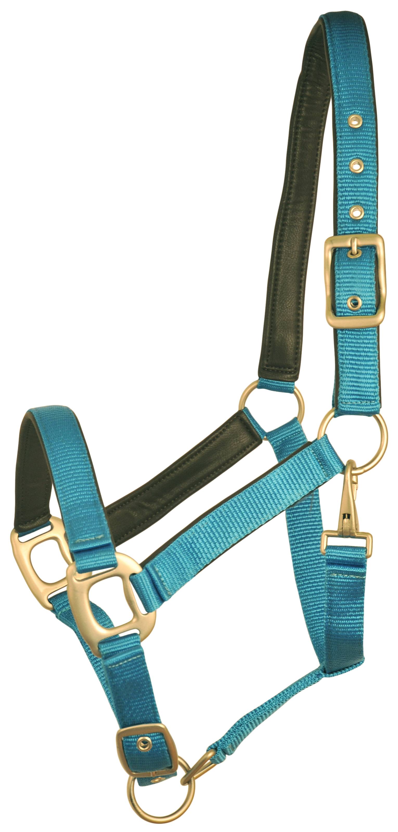 Gatsby Leather Padded Adjustable Nylon Halter