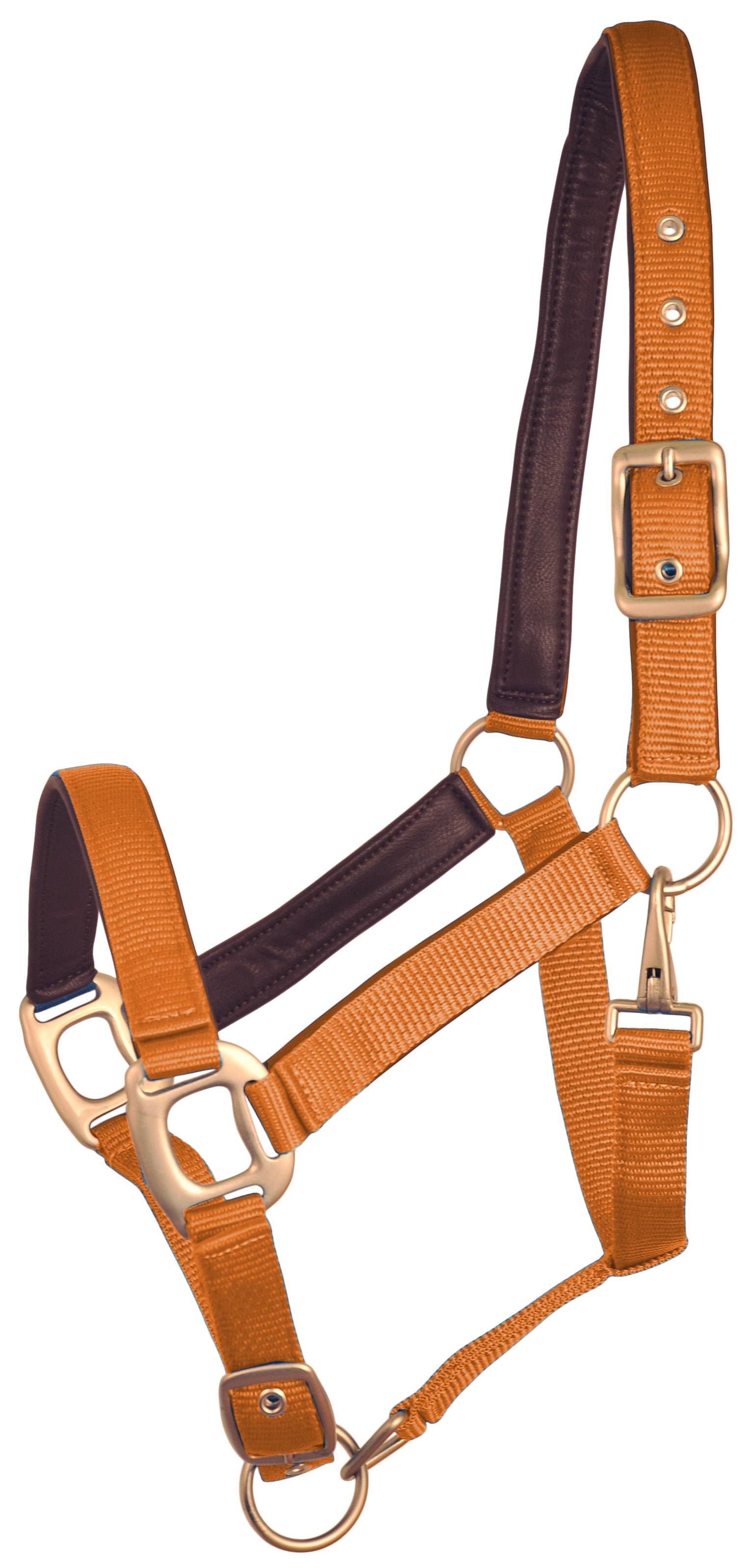 Gatsby Leather Padded Adjustable Nylon Halter