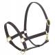 Camelot Stable Halter