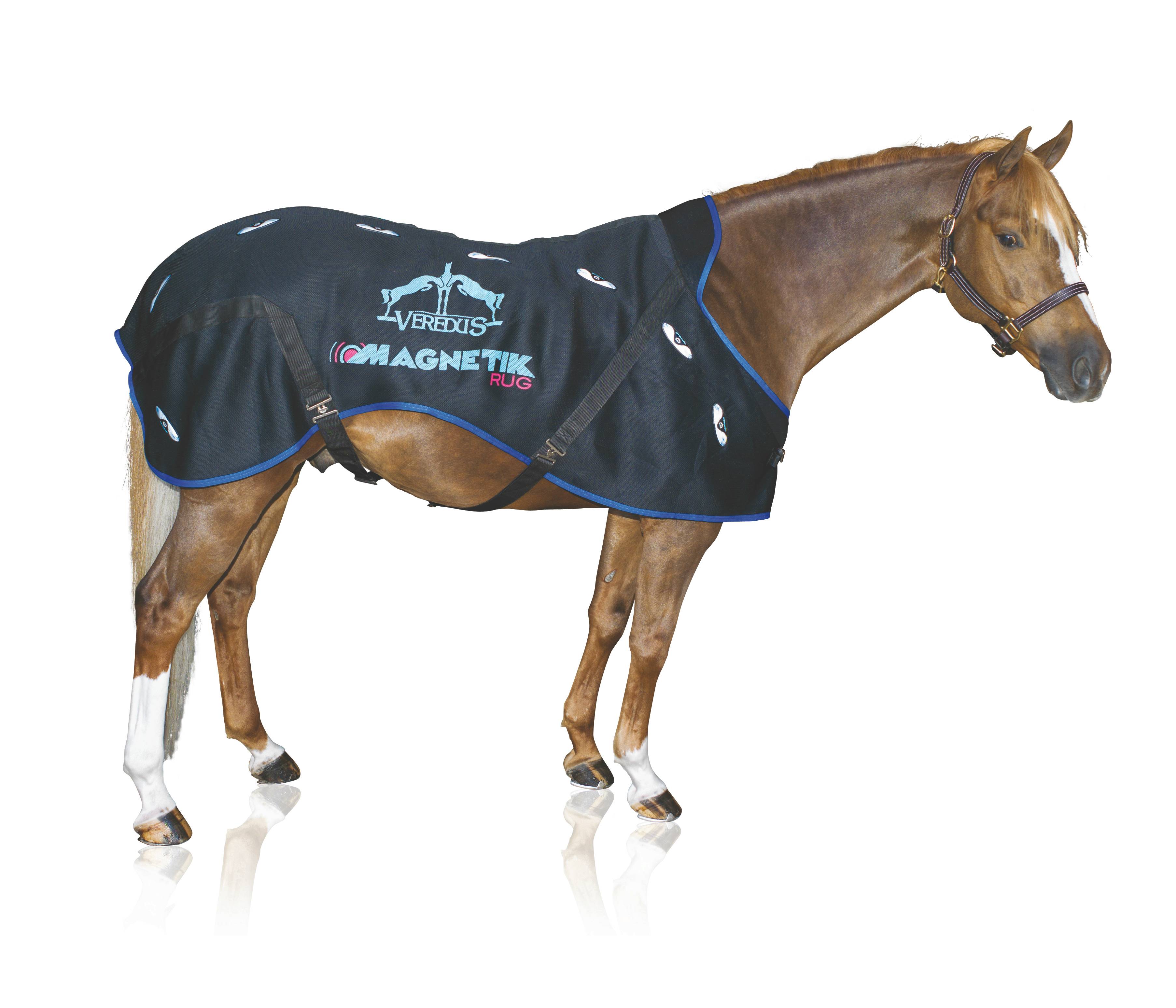 Veredus Magnetik Sheet