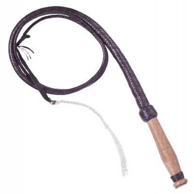 Take it out ltvsgt whip it out WordReference Forums