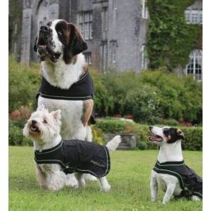 Horseware Sportz-Vibe Dog Blanket