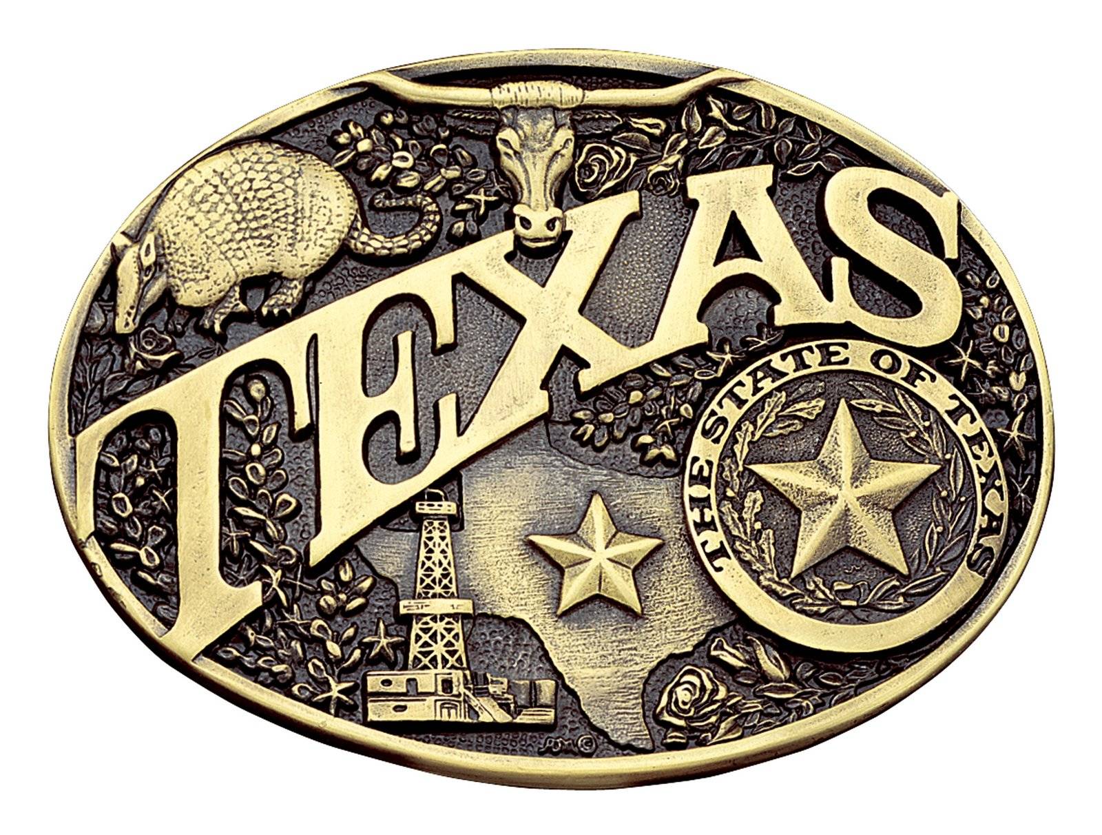 Montana Silversmiths Modern Texas Brass Heritage Attitude Belt Buckle