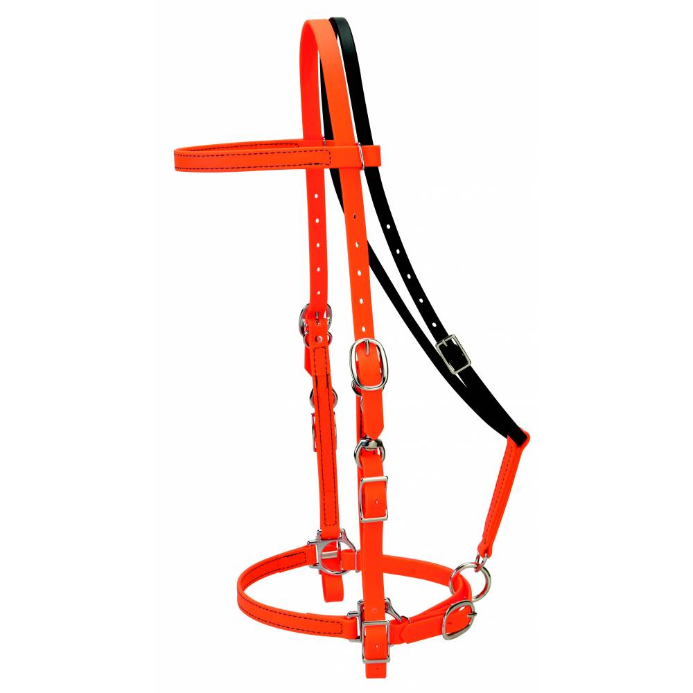Weaver Trail Gear Halter Bridle Combo HorseLoverZ