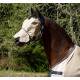 HorZe Seville Flyhood with  Nose Protection
