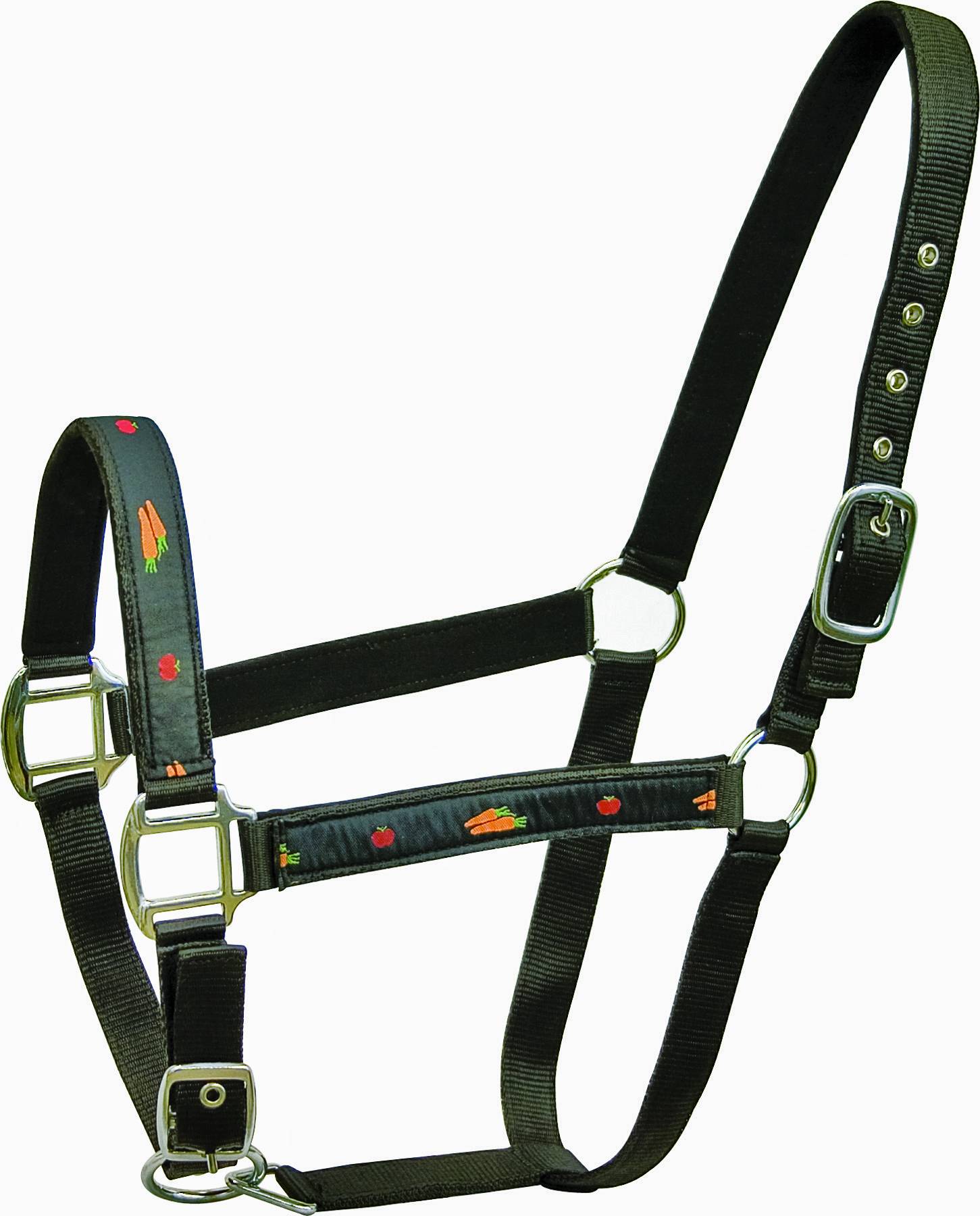 ABETTA Carrot & Apple Trim Nylon Halter