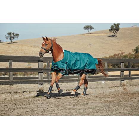 Saxon 1200D Standard Neck Turnout Blanket - Lightweight