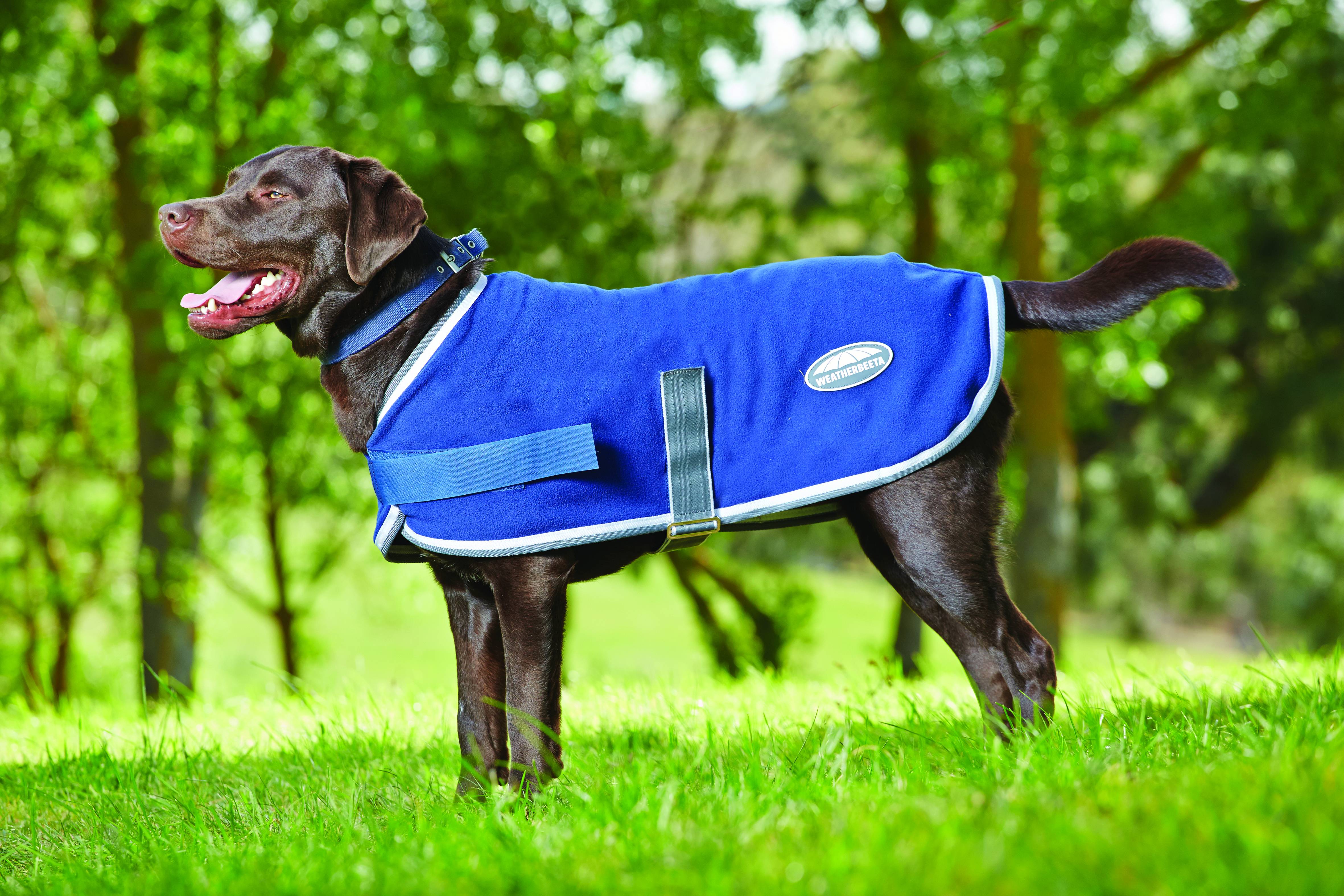 Weatherbeeta Fleece Dog Coat | HorseLoverZ