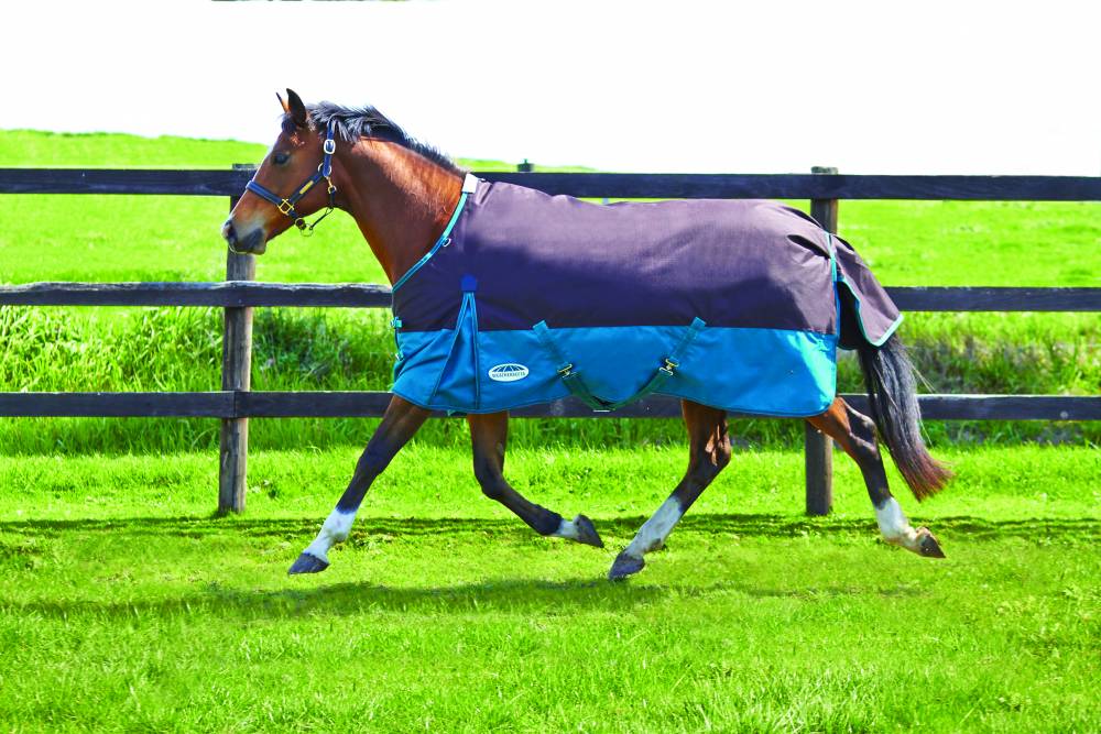 Weatherbeeta Original 1200D High Neck Medium Weight Blanket