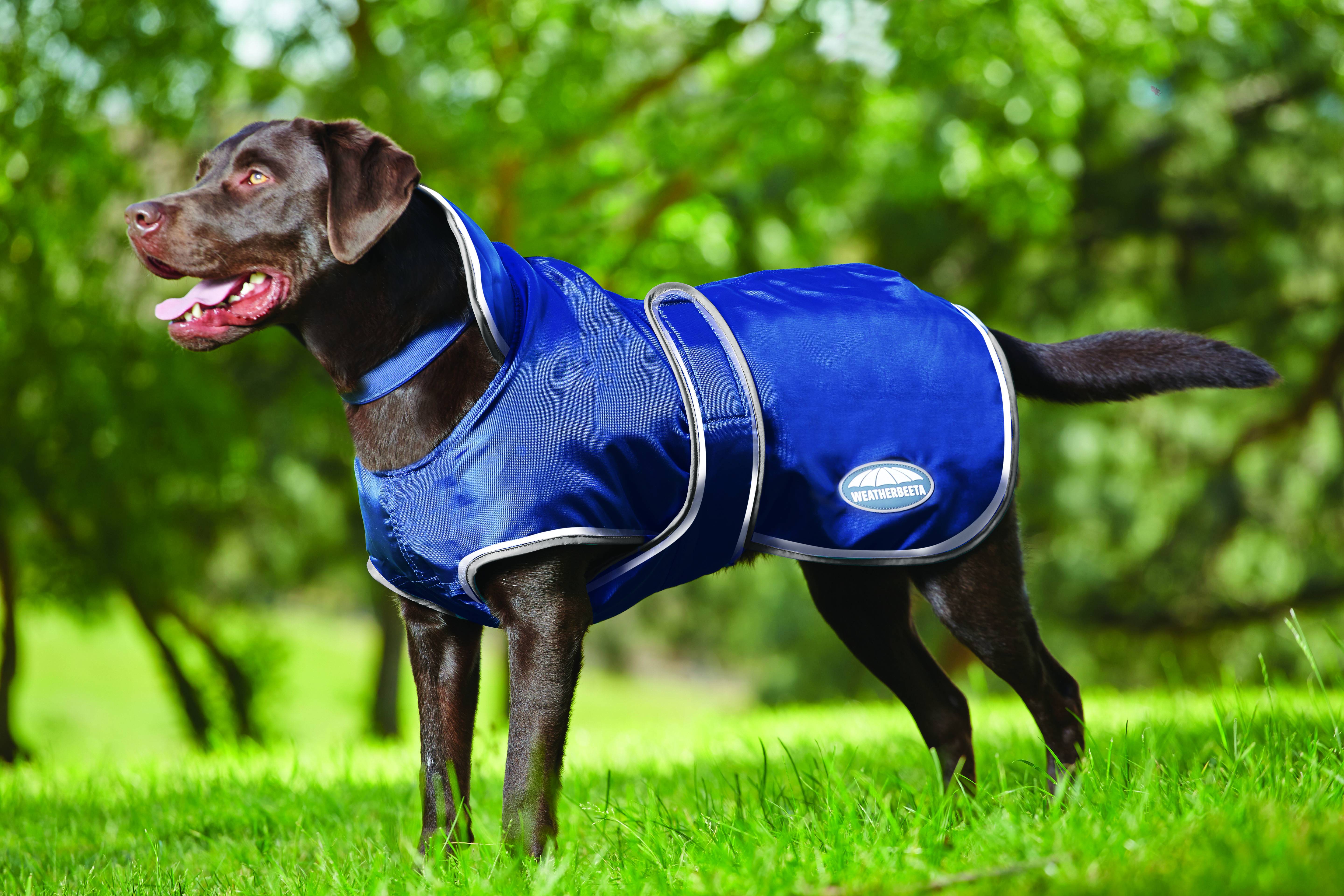 Weatherbeeta sale dog parka