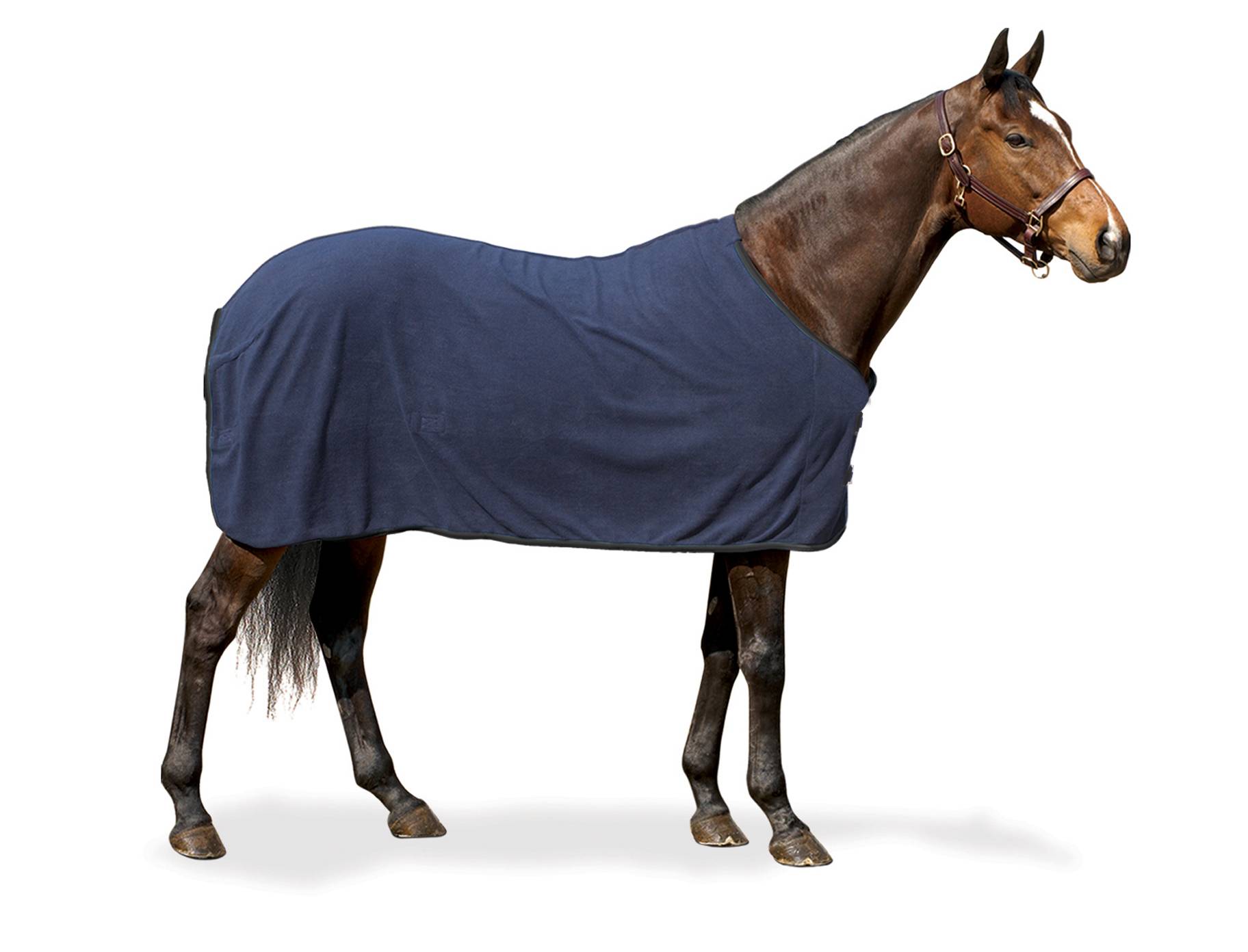 Centaur Solid 220G Fleece Sheet
