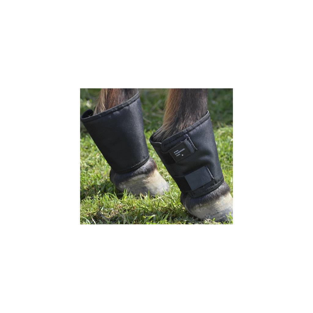 Fetlock Shields