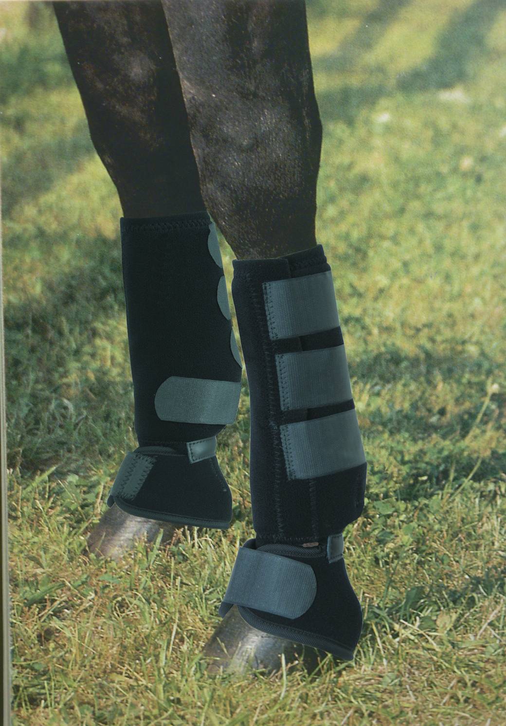 combo boots for horses