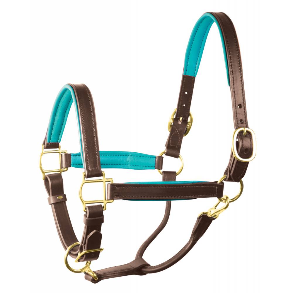 Perri's Horse Soft Padded Leather Halter