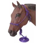 Tough-1 Miniature Poly Rope Halters with  Leads - 6 Pack