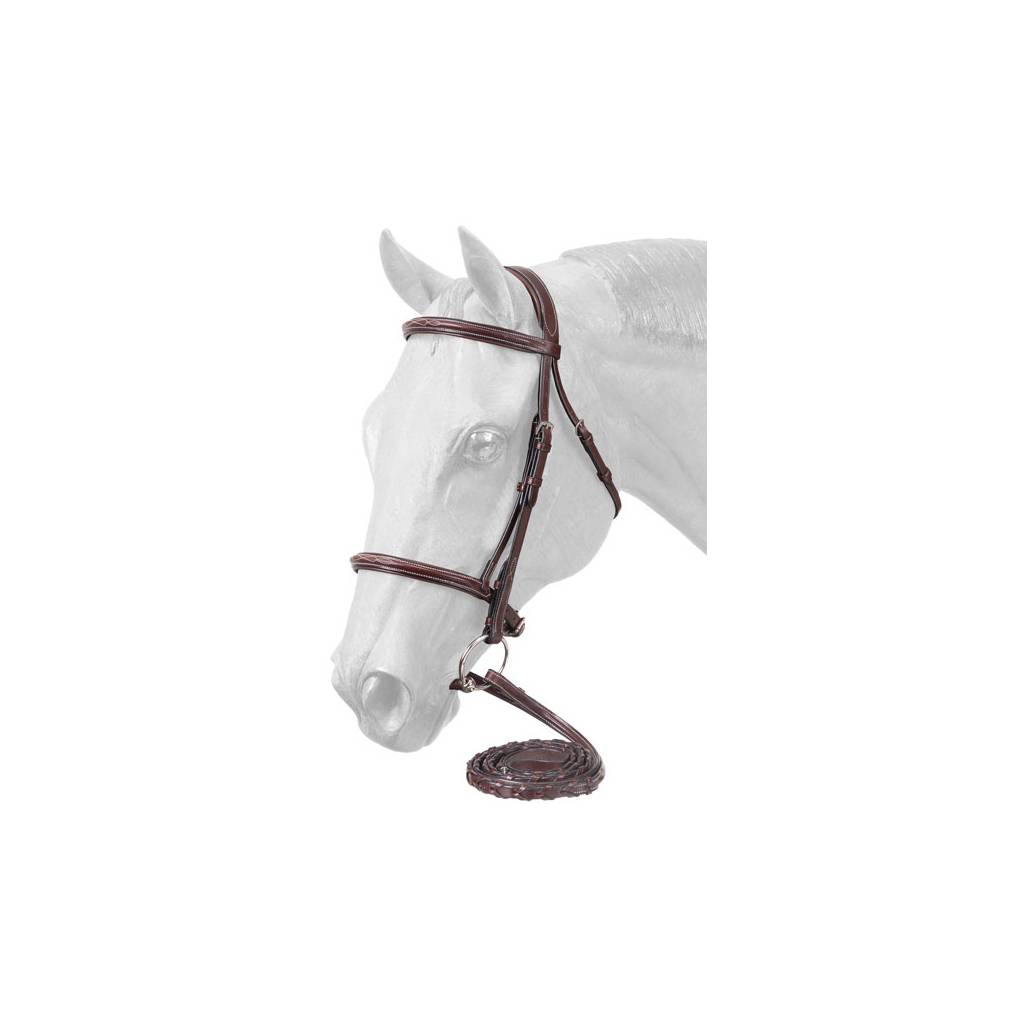 EquiRoyal Premium Padded Fancy Stitched Raised English Bridle