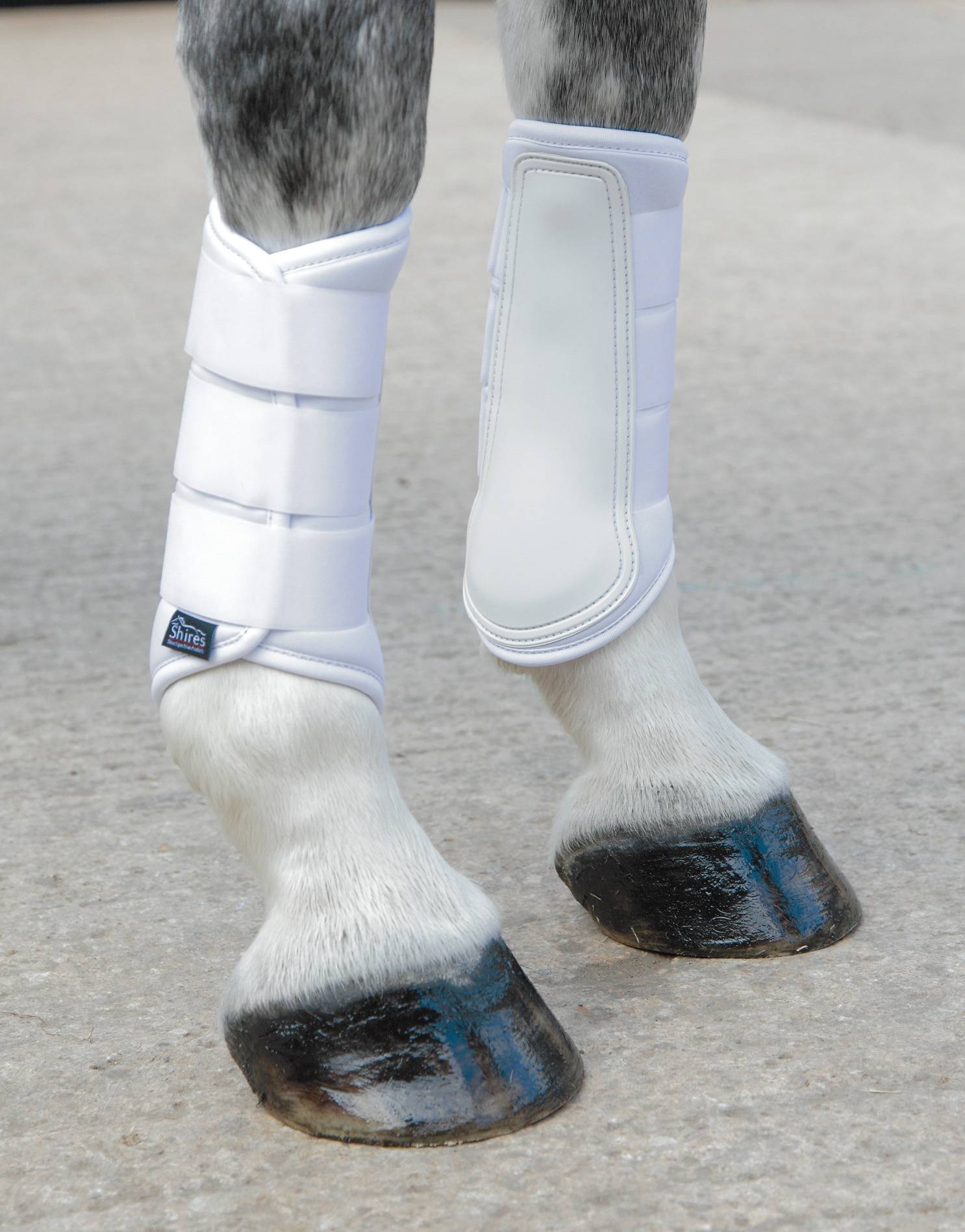 Shires Arma Neoprene Brushing Boots in White 