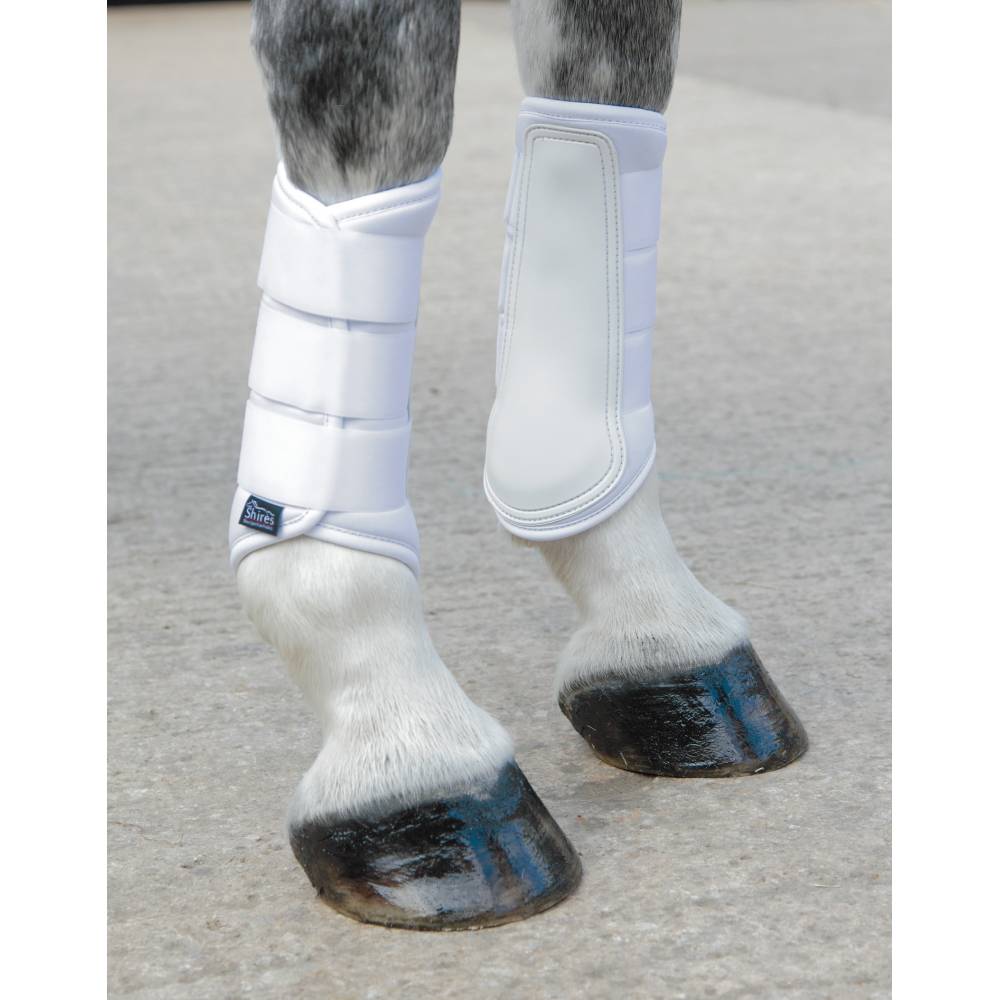 Horse Wear Various Colours Horse Pony Shires Arma Neoprene Brushing