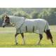 Shires Maxi Flow Fly Sheet/Neck