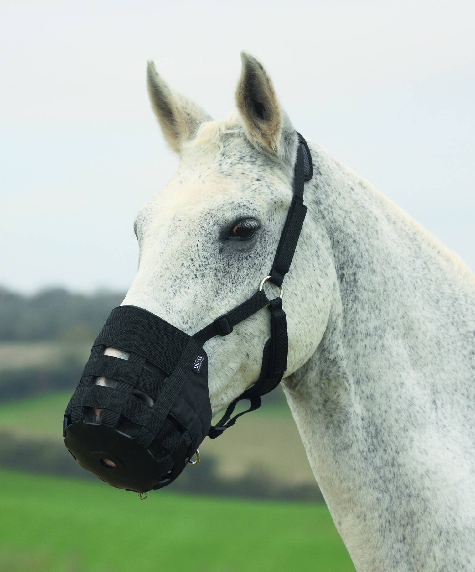 Shires Comfort Grazing Muzzle Breakaway Halters | HorseLoverZ