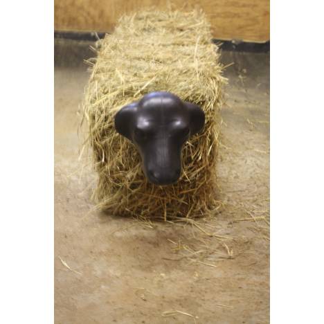 Calf Head with Hay Bale Spikes