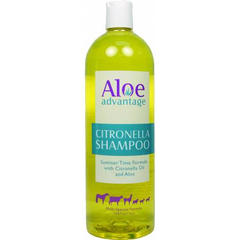 Aloe Advantage Citronella Shampoo Concentrate