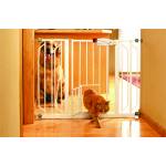 Carlson Pet Products Dog Fences & Exercise Pens