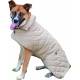 Reversible Barn Dog Coat