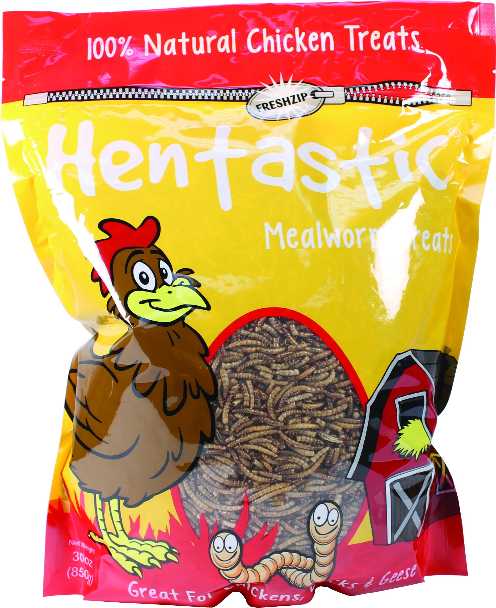 Hentastic Mealworm Chicken Treats