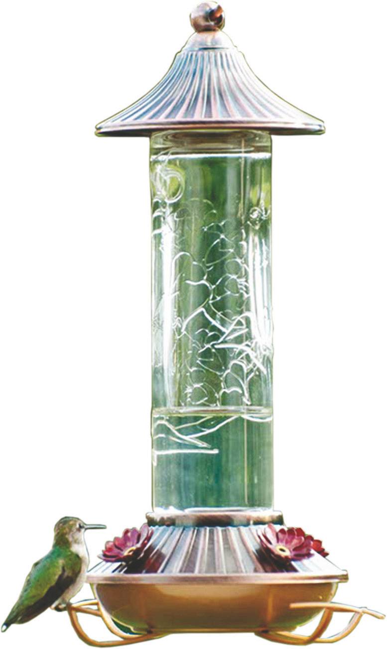 Audubon Etched Hummingbird Feeder 14 Oz Bronze/Clear eBay