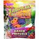 Tropical Carnival Baked Pretzel Small Animal Treat