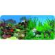 Aquatop Coral Anemone & Freshwater Planted Background
