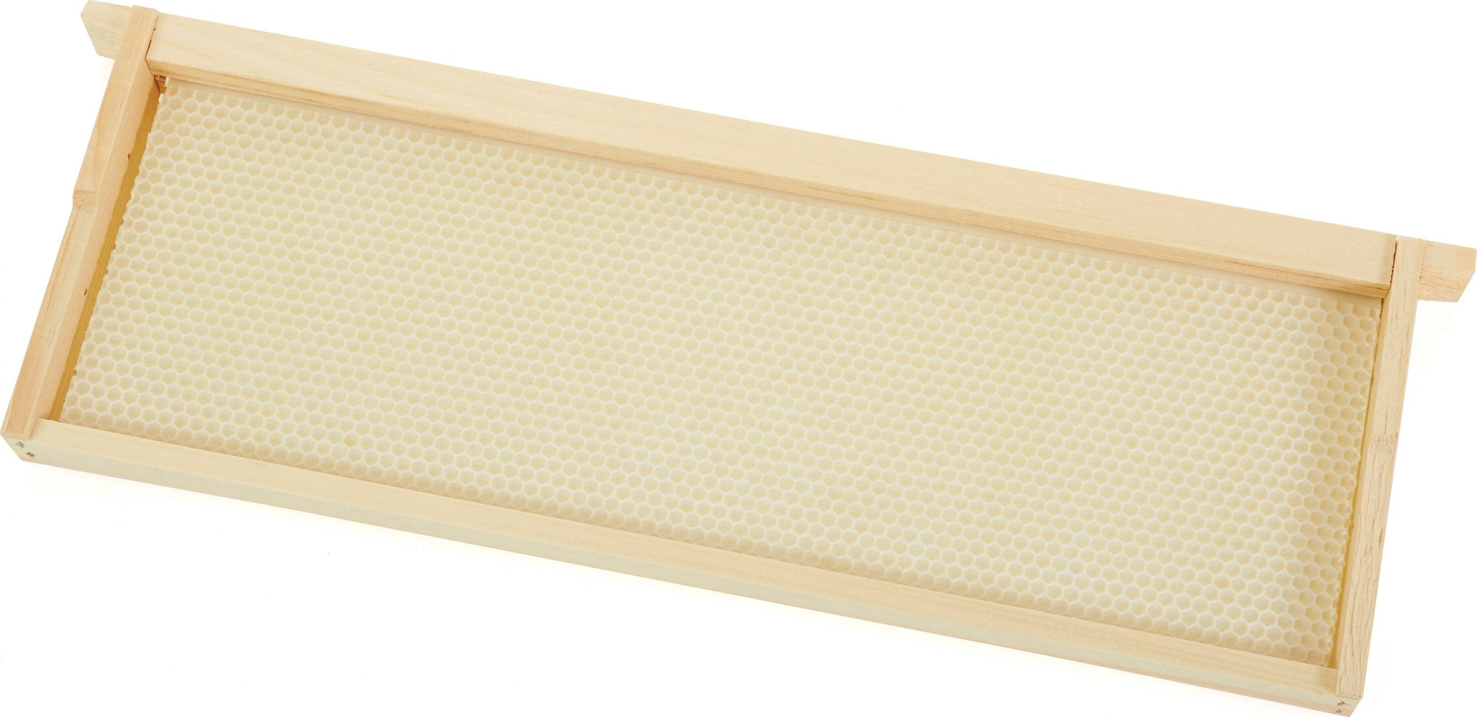Little Giant Bee Hive Replacement Frames - 5 Pack