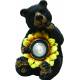 Black Bear With Solar Sunflower