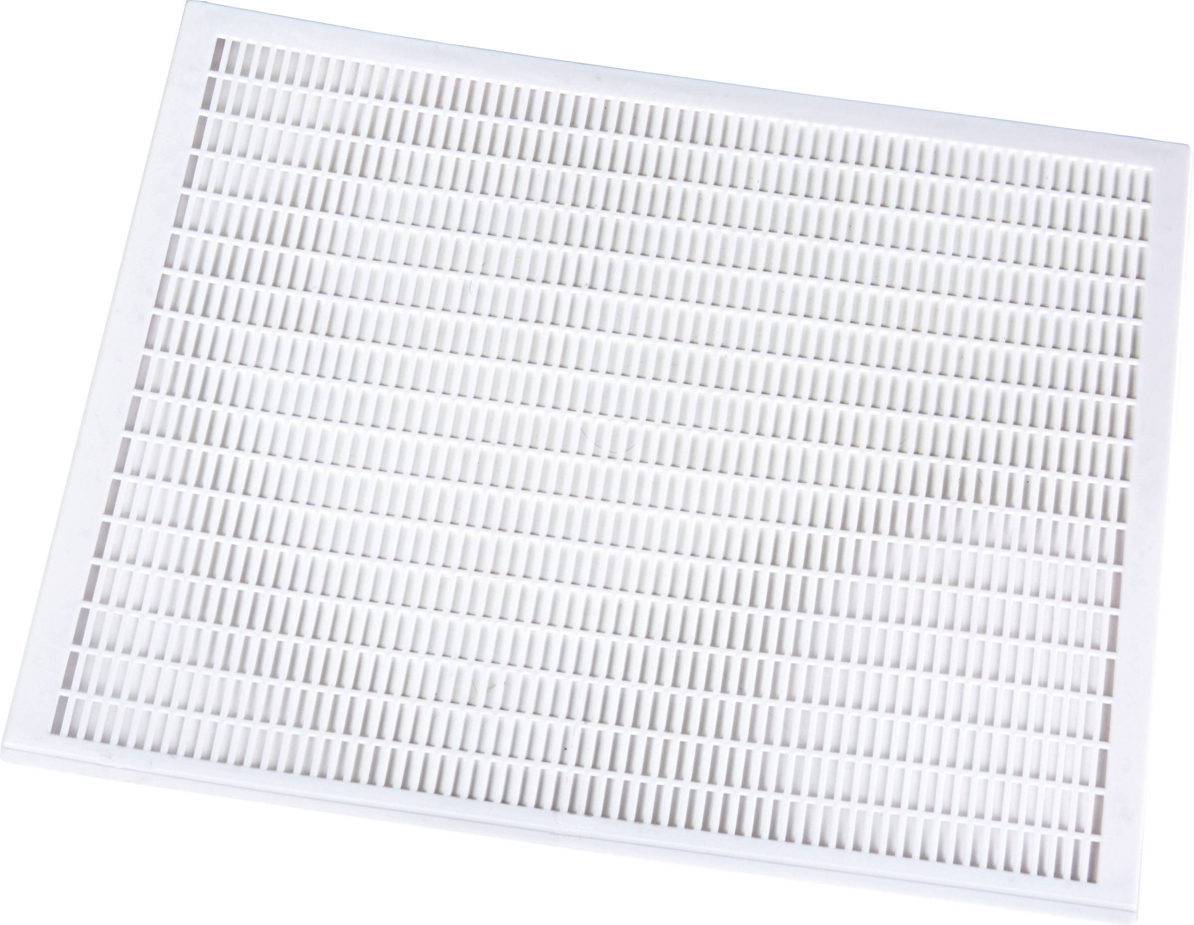 Little Giant Queen Bee Plastic Excluder