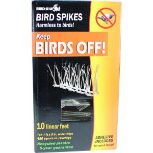 BIRD-X Plastic Bird Spikes