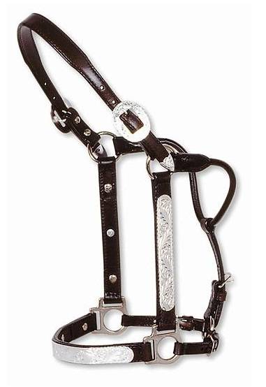 Circle Y Engraved Silver Show Halter