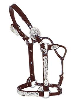 Circle Y Silver Berry Edge Show Halter