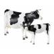 Breyer Traditional Cow And Calf Set