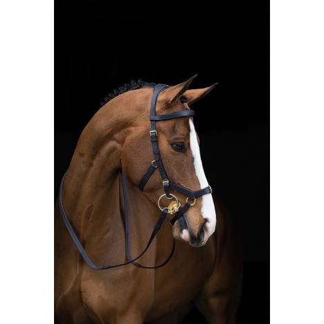 Rambo Micklem Multibridle