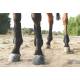 Pro Performance By Professionals Choice Show Jump Front Boots