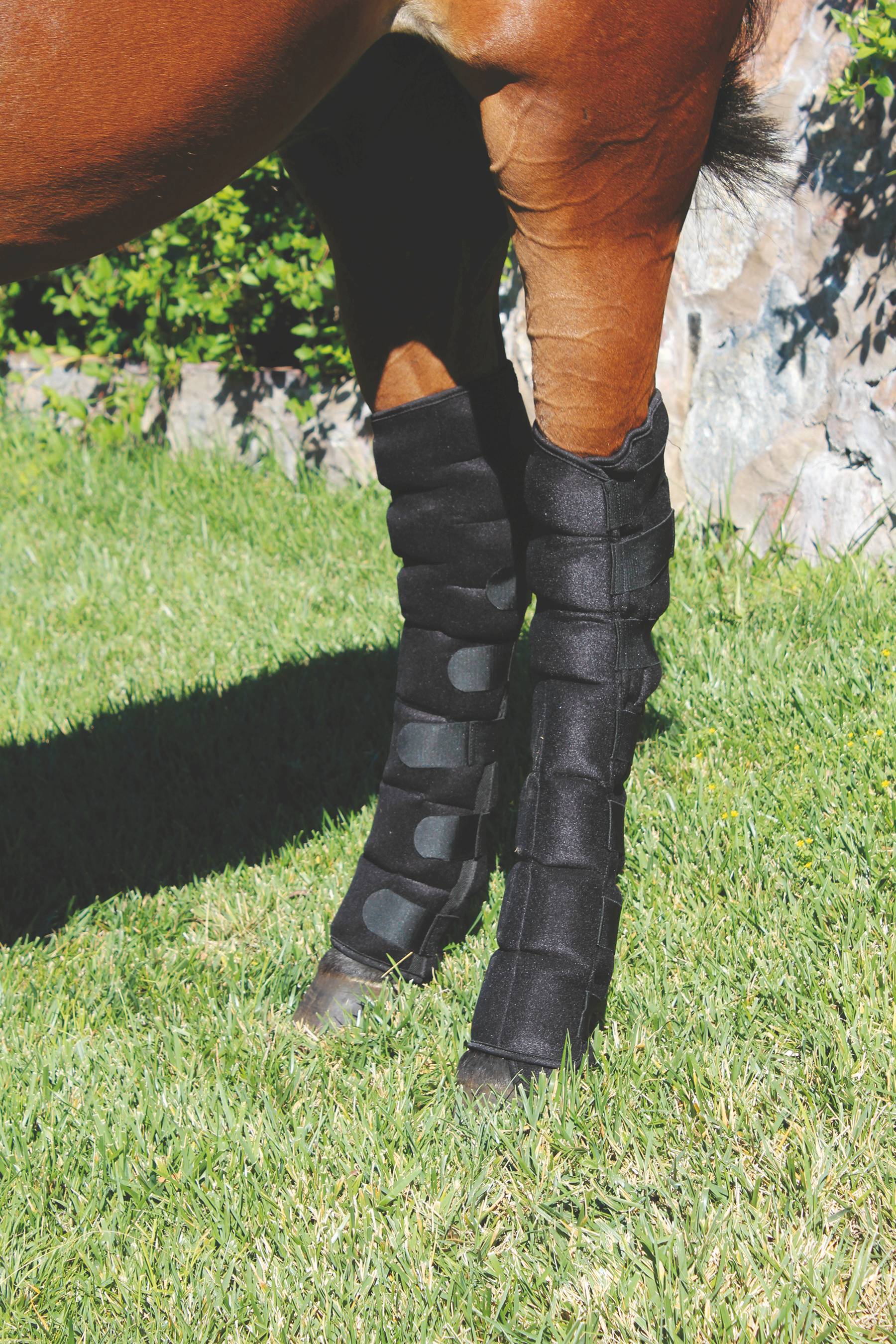 Professional choice leg top boots