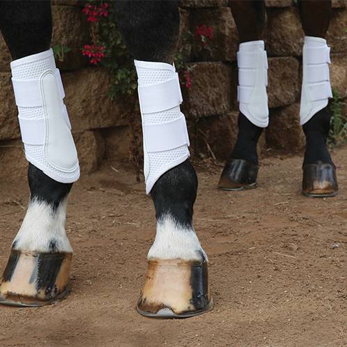 Professional's Choice Pro Mesh Sport Schooling Boot